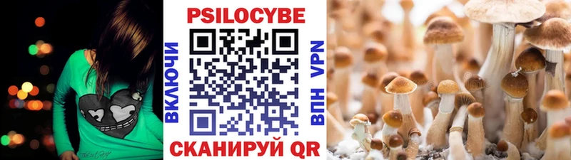 hydra ссылки  продажа наркотиков  Строитель  Галлюциногенные грибы GOLDEN TEACHER 