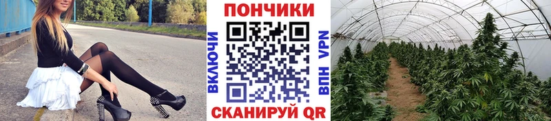 МАРИХУАНА гибрид Строитель